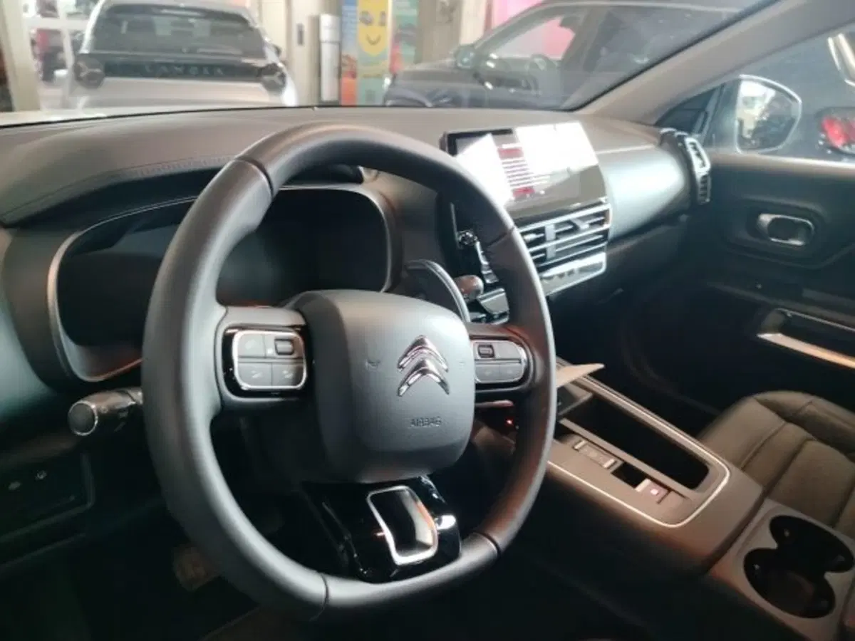 Citroen C5 Aircross usata a Forlì-Cesena (18)