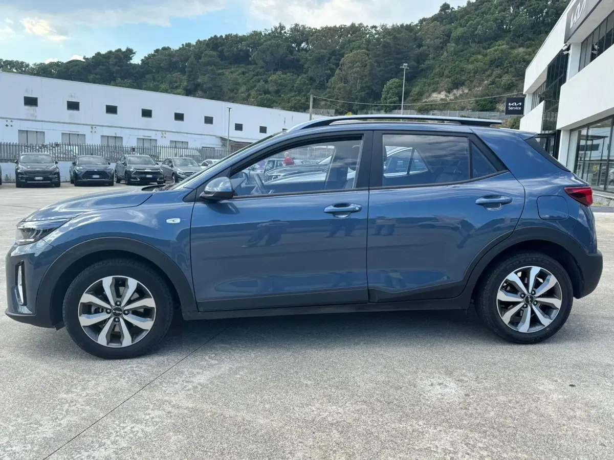 Kia Stonic usata a Cosenza (7)