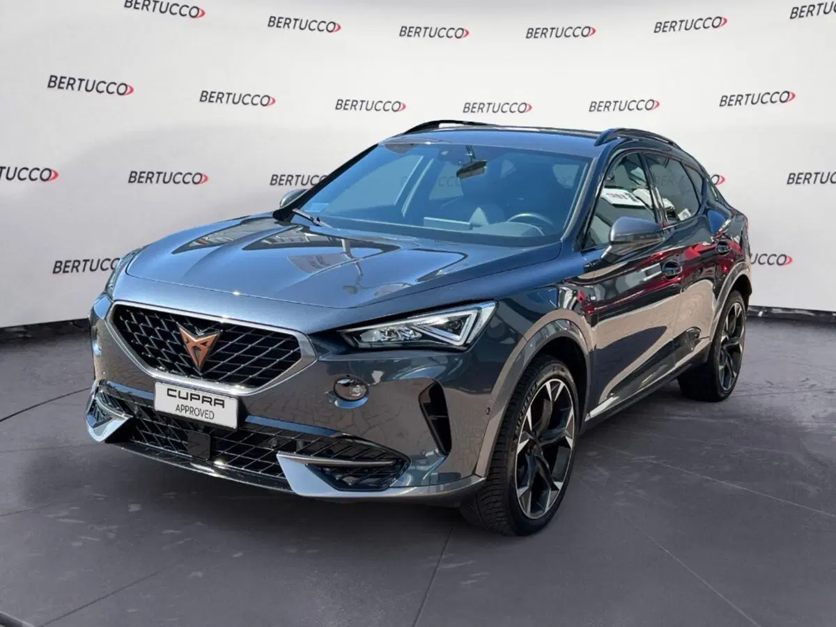 Cupra Formentor usata a Verona (2)