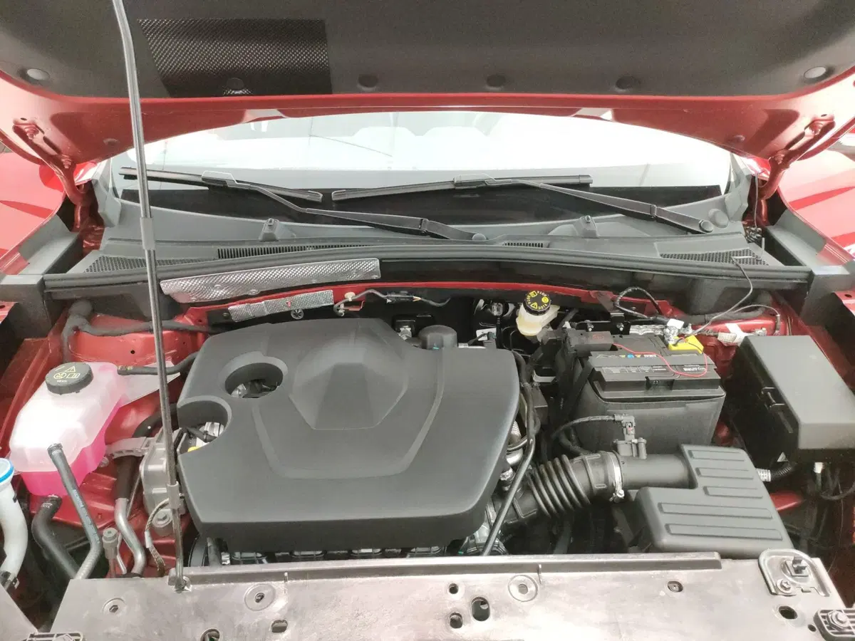 Mg ZS nuova a L'Aquila (10)