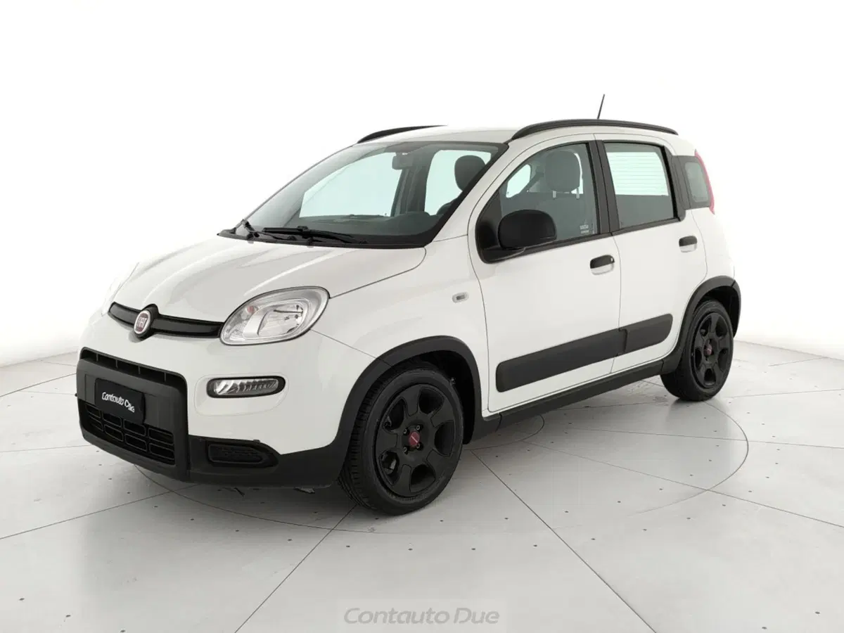 Fiat Panda Cross usata a Caserta