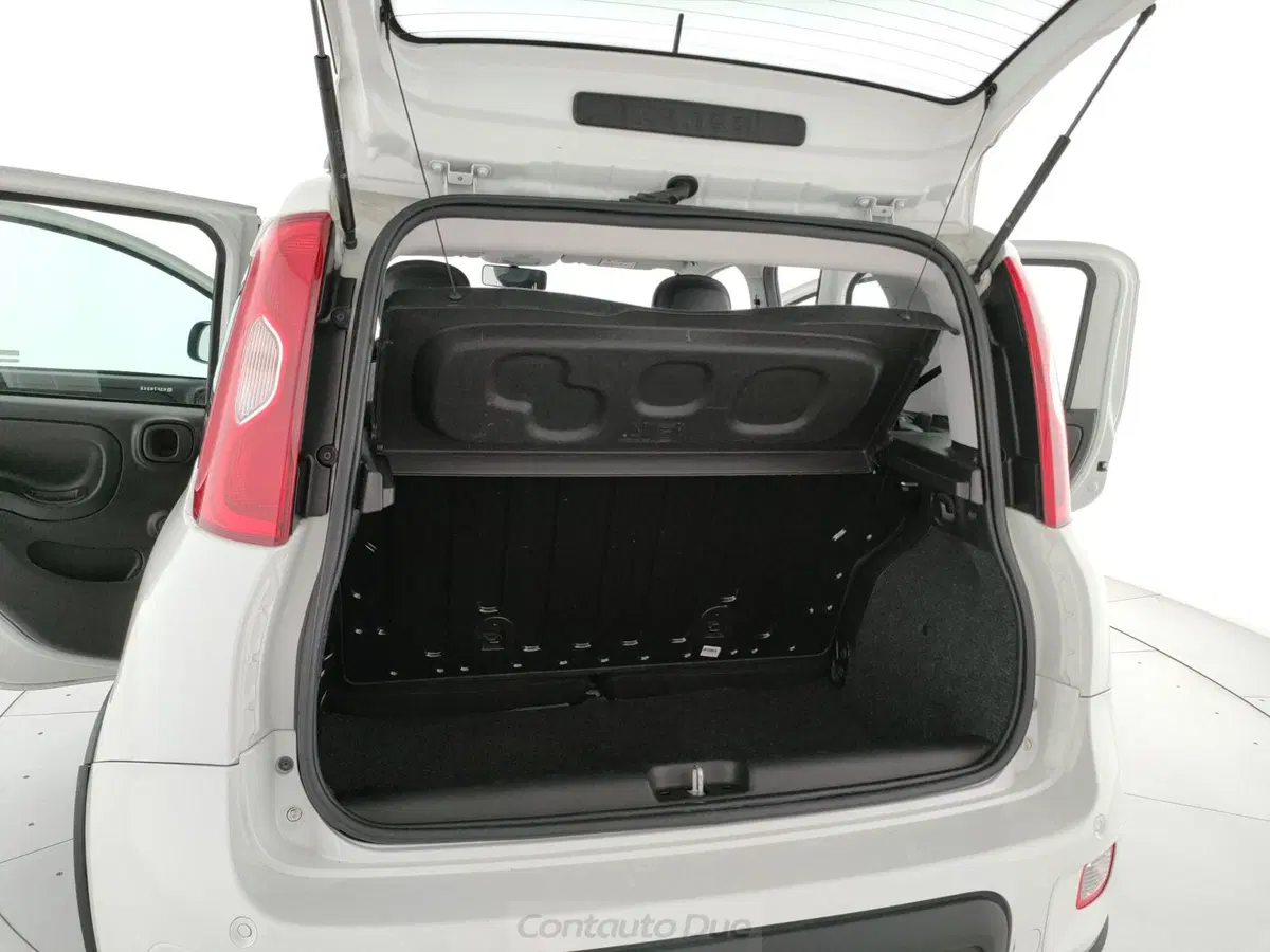 Fiat Panda Cross usata a Caserta (16)