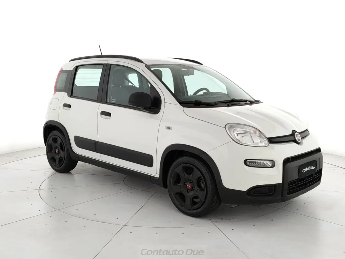 Fiat Panda Cross usata a Caserta (3)