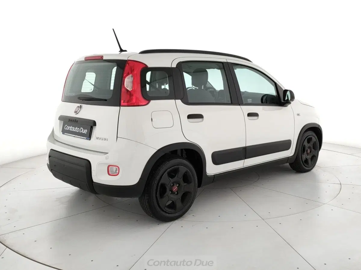 Fiat Panda Cross usata a Caserta (5)