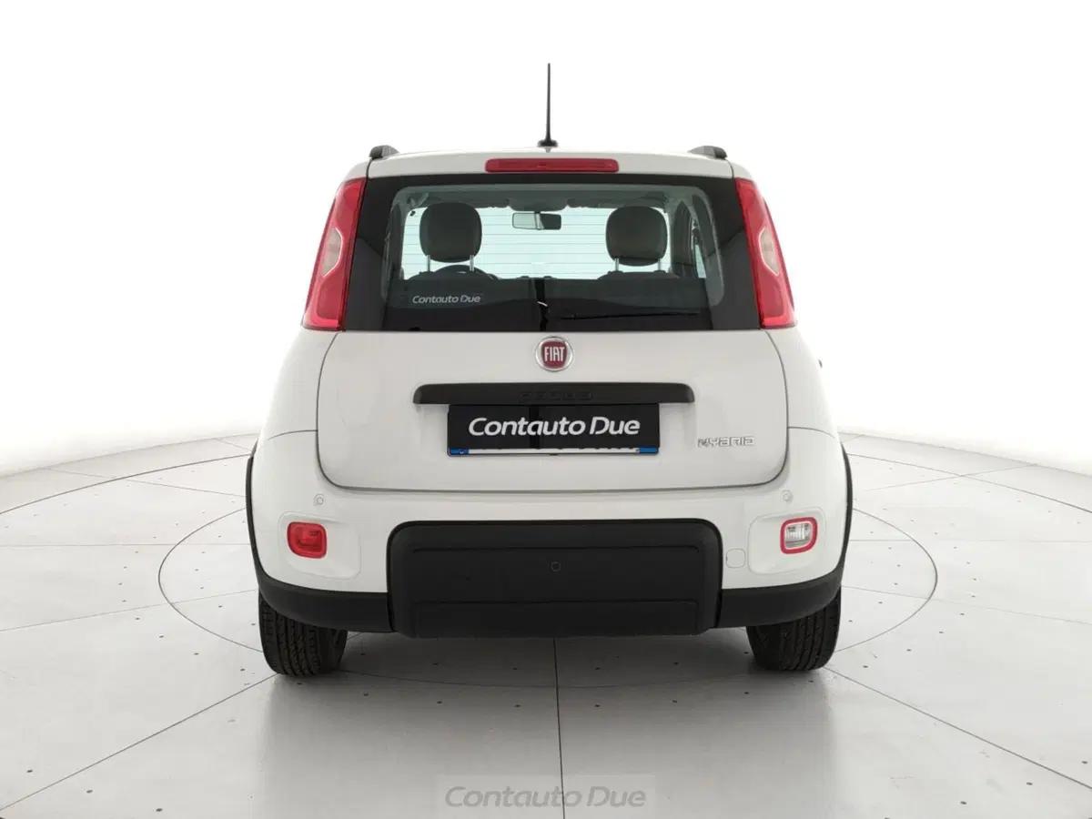 Fiat Panda Cross usata a Caserta (6)