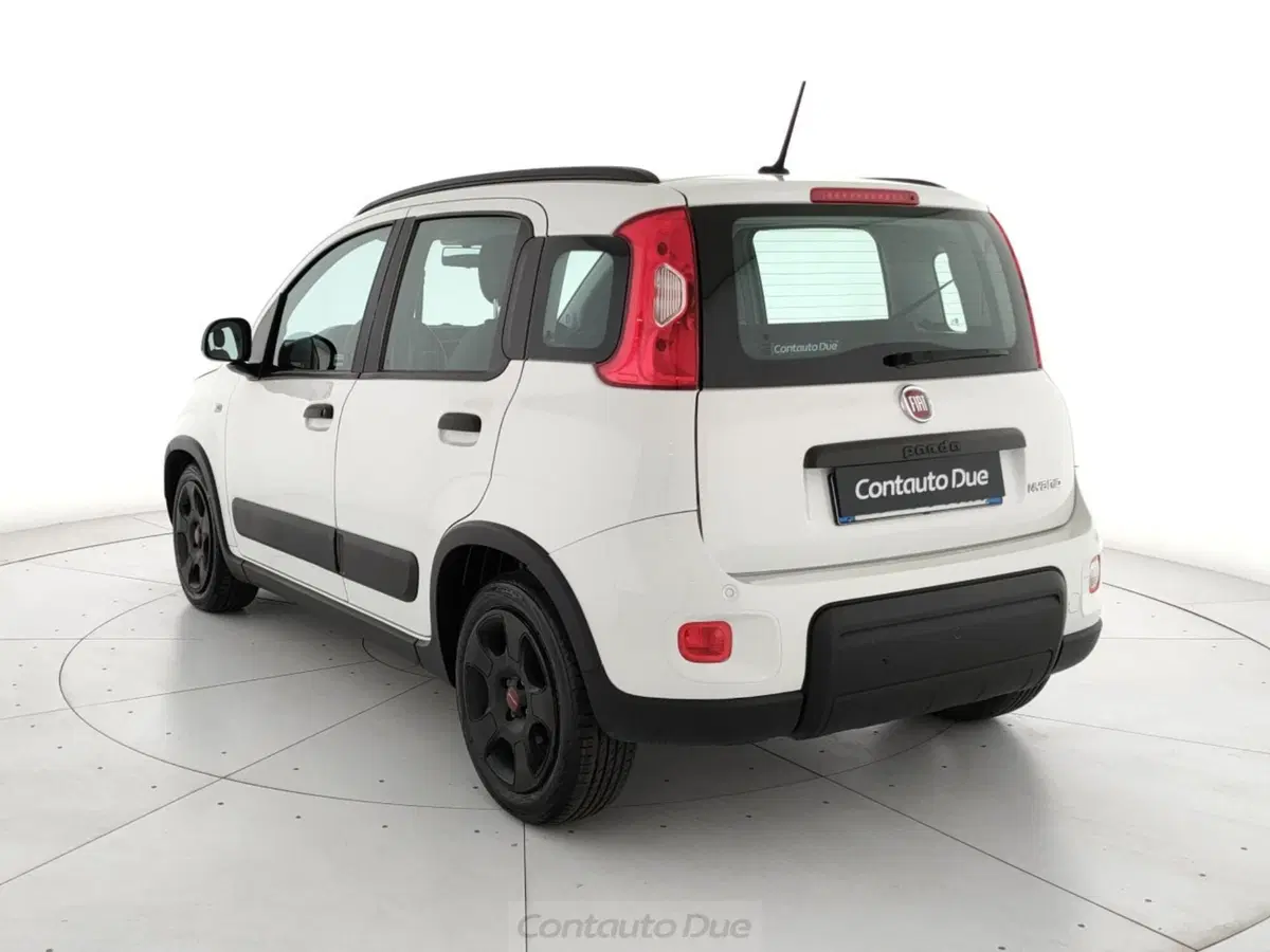 Fiat Panda Cross usata a Caserta (7)