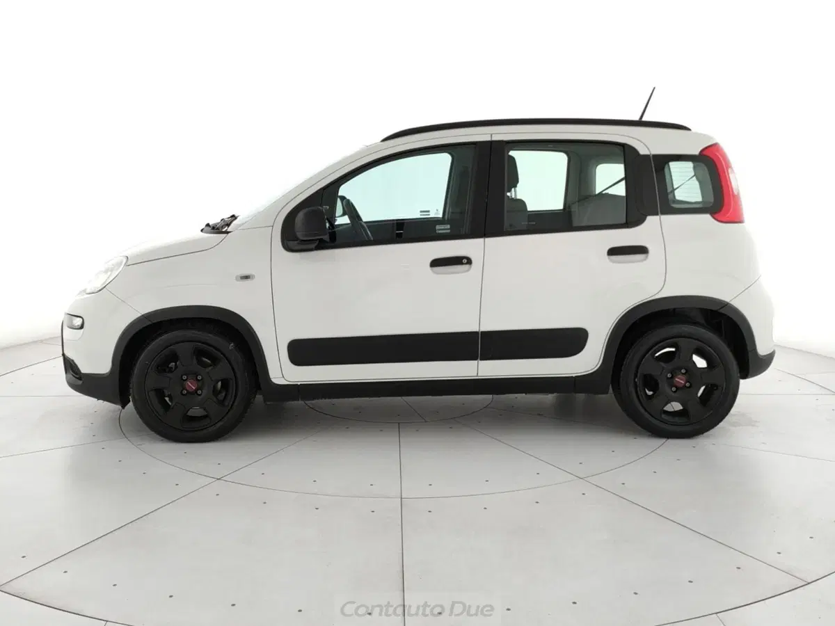 Fiat Panda Cross usata a Caserta (8)