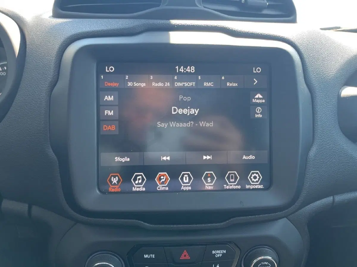 Jeep Renegade usata a Torino (13)