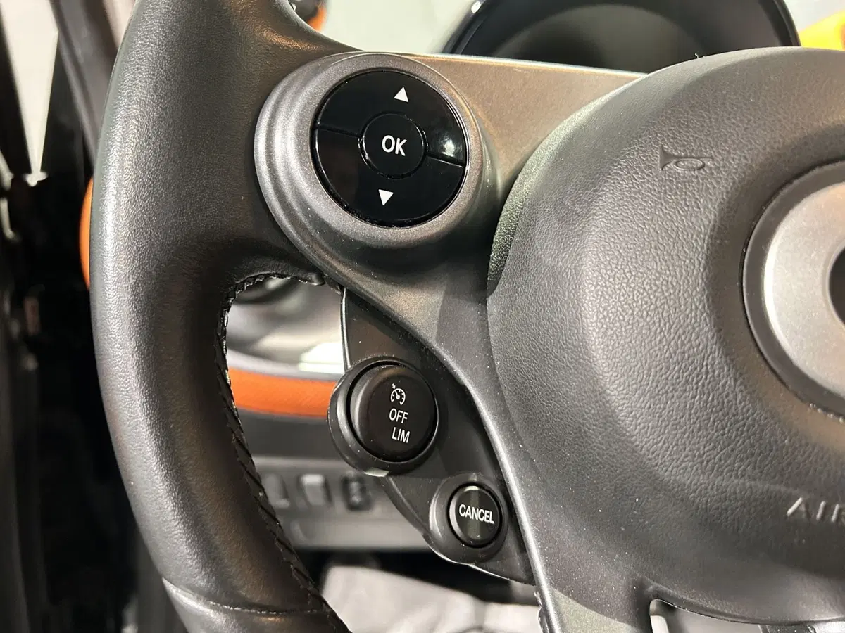 smart Fortwo usata a Milano (14)