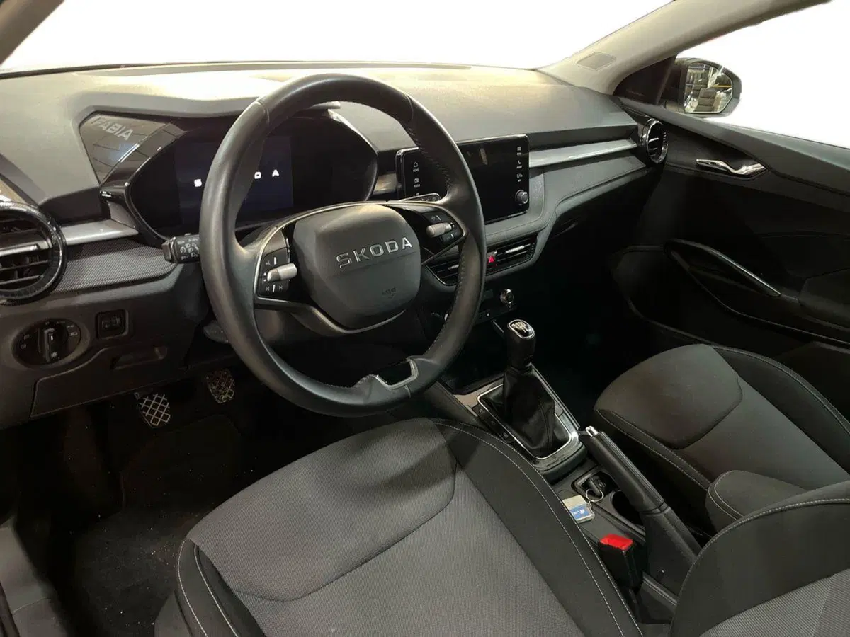 Skoda Fabia usata a Lecce (10)