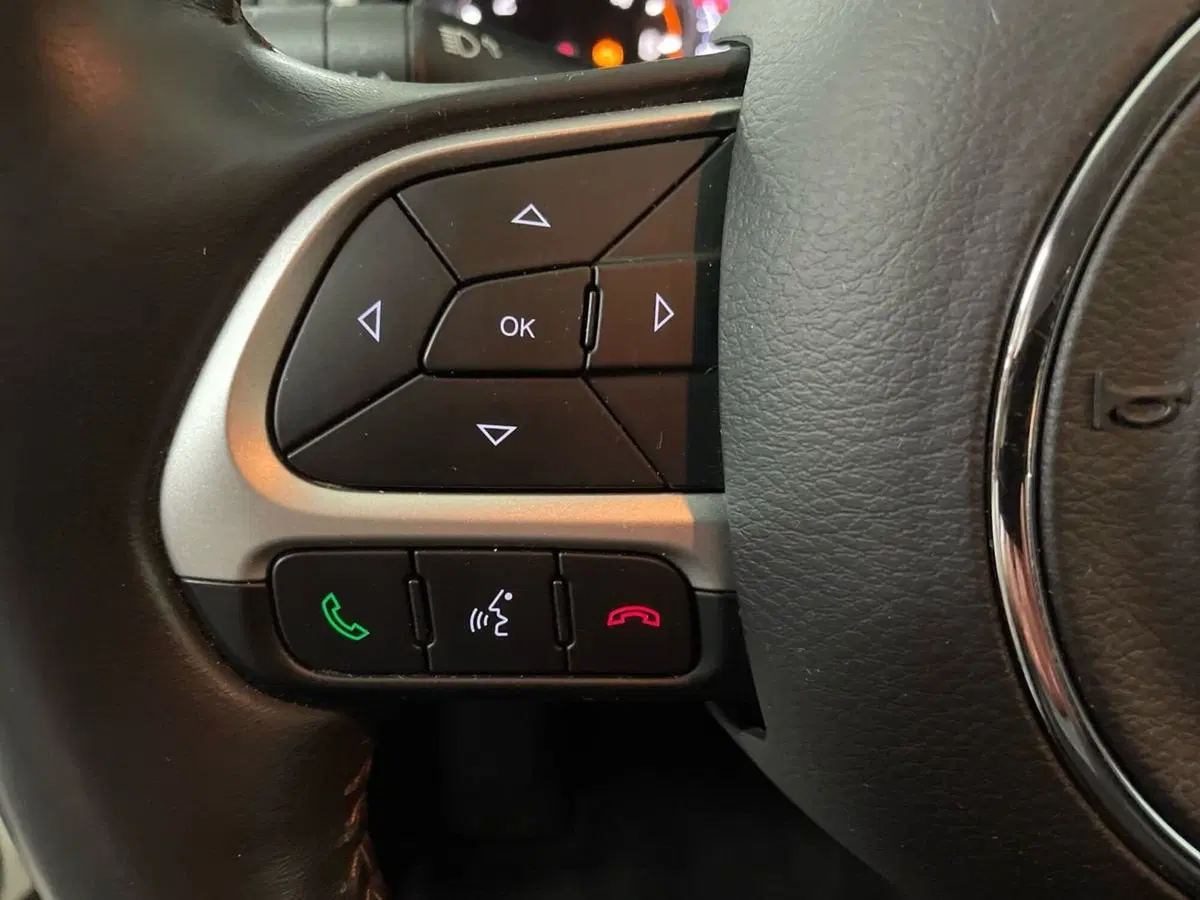 Jeep Compass usata a Ancona (20)