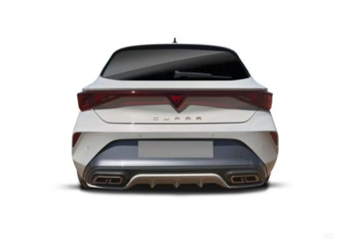 Cupra Leon usata a Siena (7)