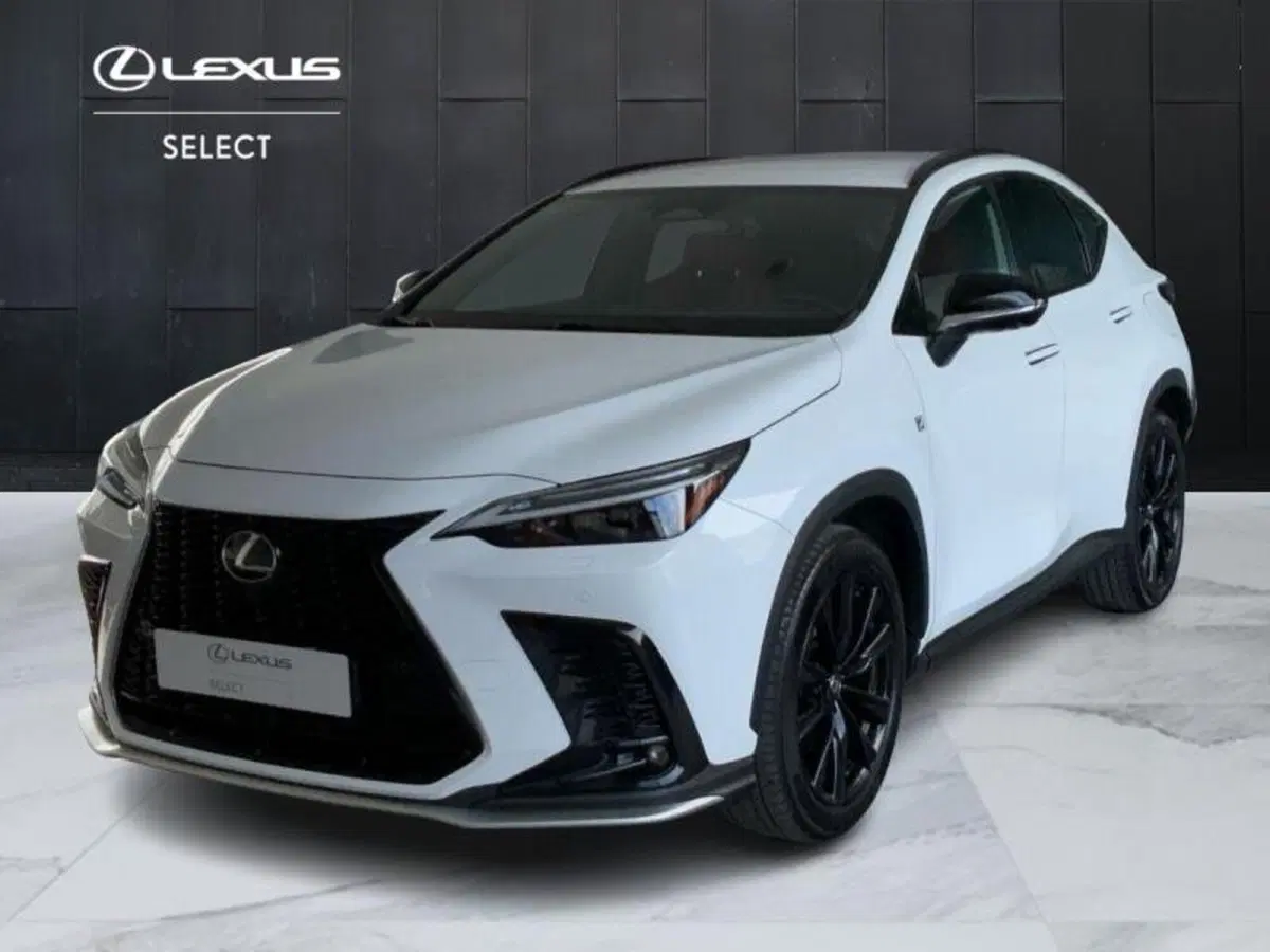 Lexus NX usata a Perugia