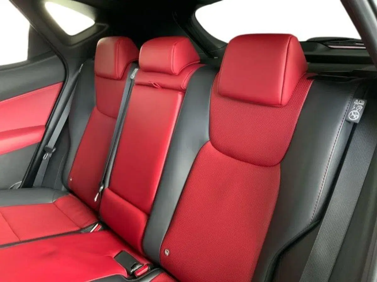 Lexus NX usata a Perugia (12)