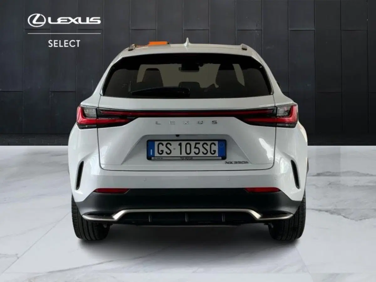 Lexus NX usata a Perugia (13)
