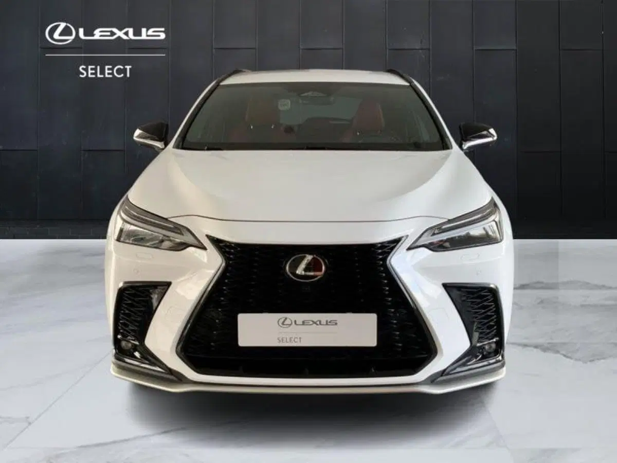 Lexus NX usata a Perugia (14)