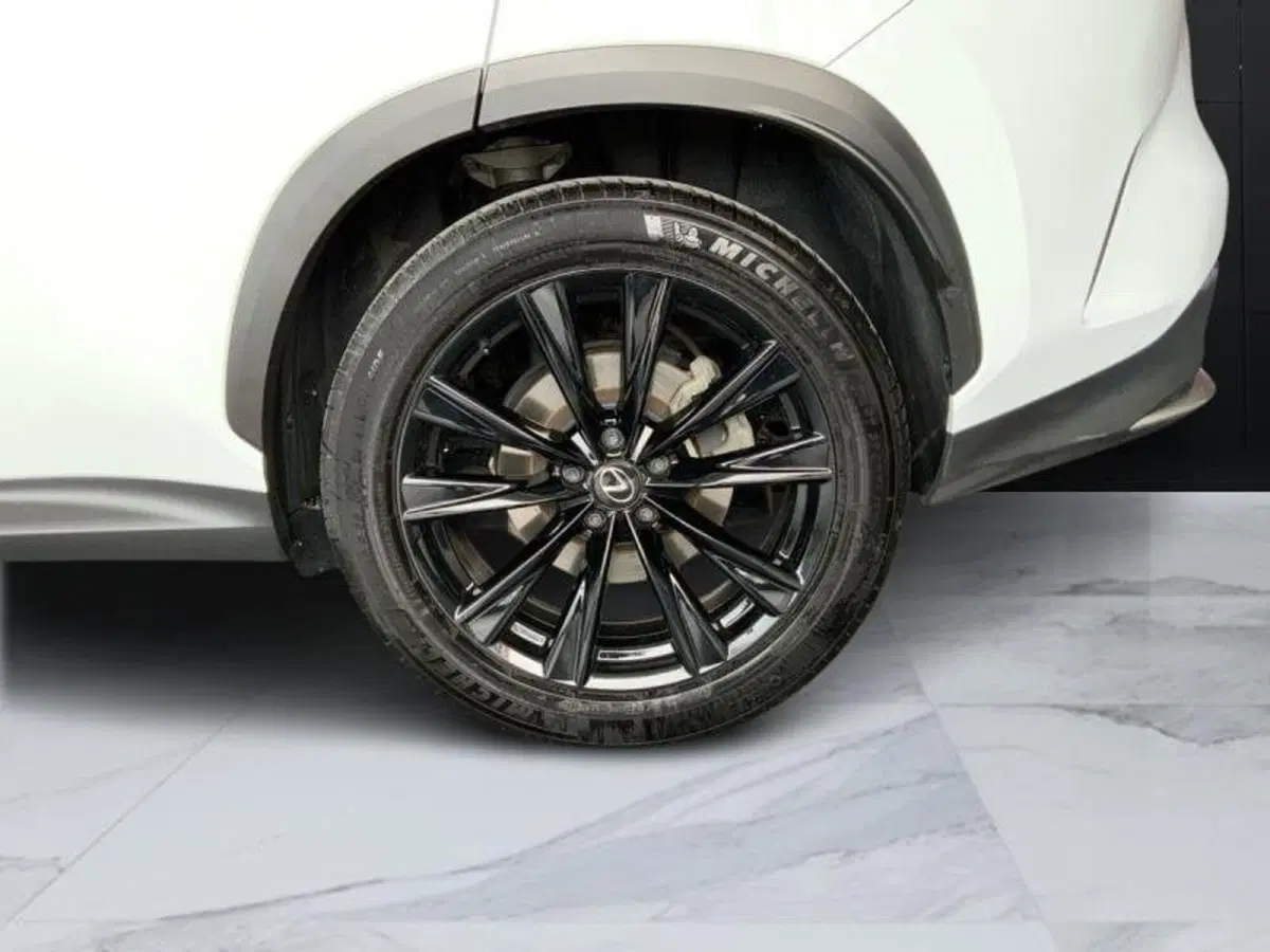 Lexus NX usata a Perugia (15)