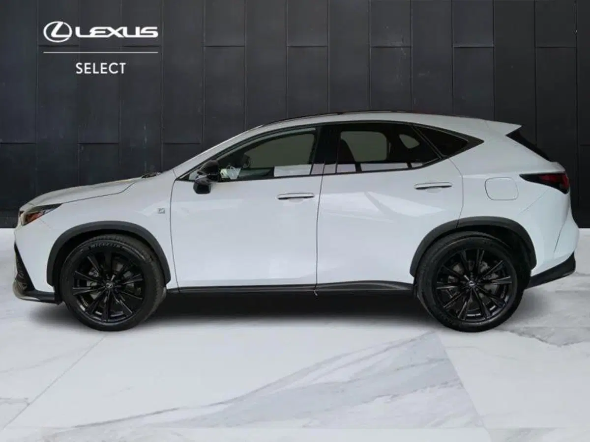 Lexus NX usata a Perugia (4)