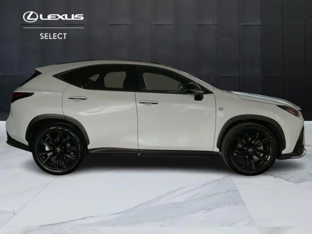 Lexus NX usata a Perugia (5)