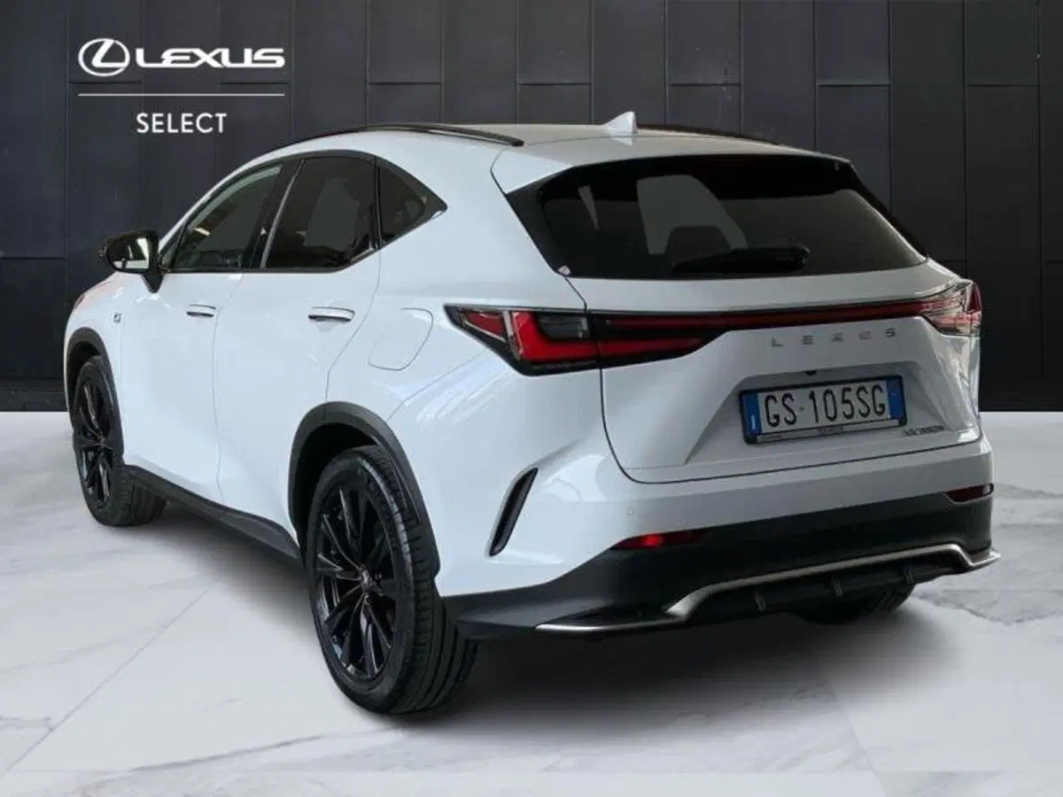 Lexus NX usata a Perugia (6)