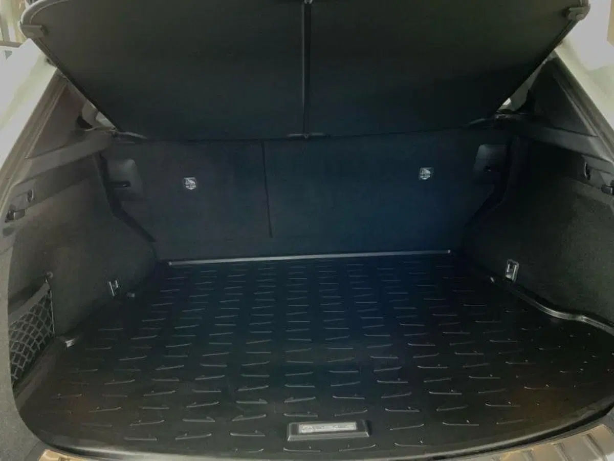 Lexus NX usata a Perugia (7)
