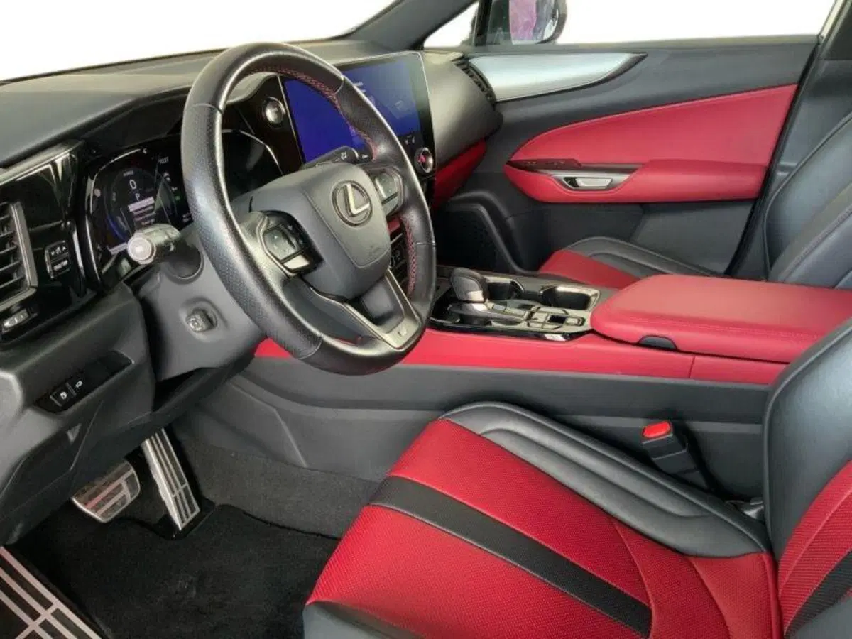 Lexus NX usata a Perugia (8)