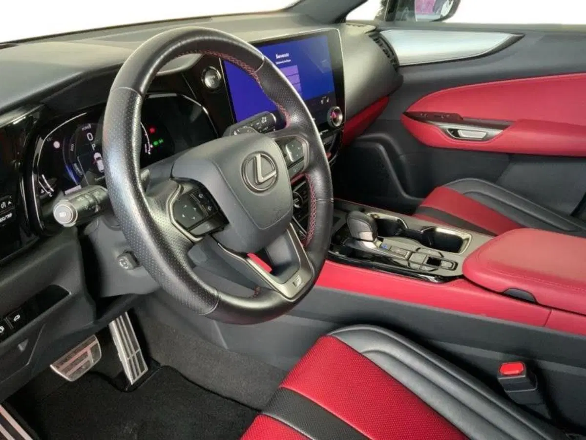 Lexus NX usata a Perugia (9)
