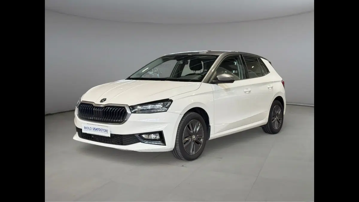 Skoda Fabia usata a Palermo