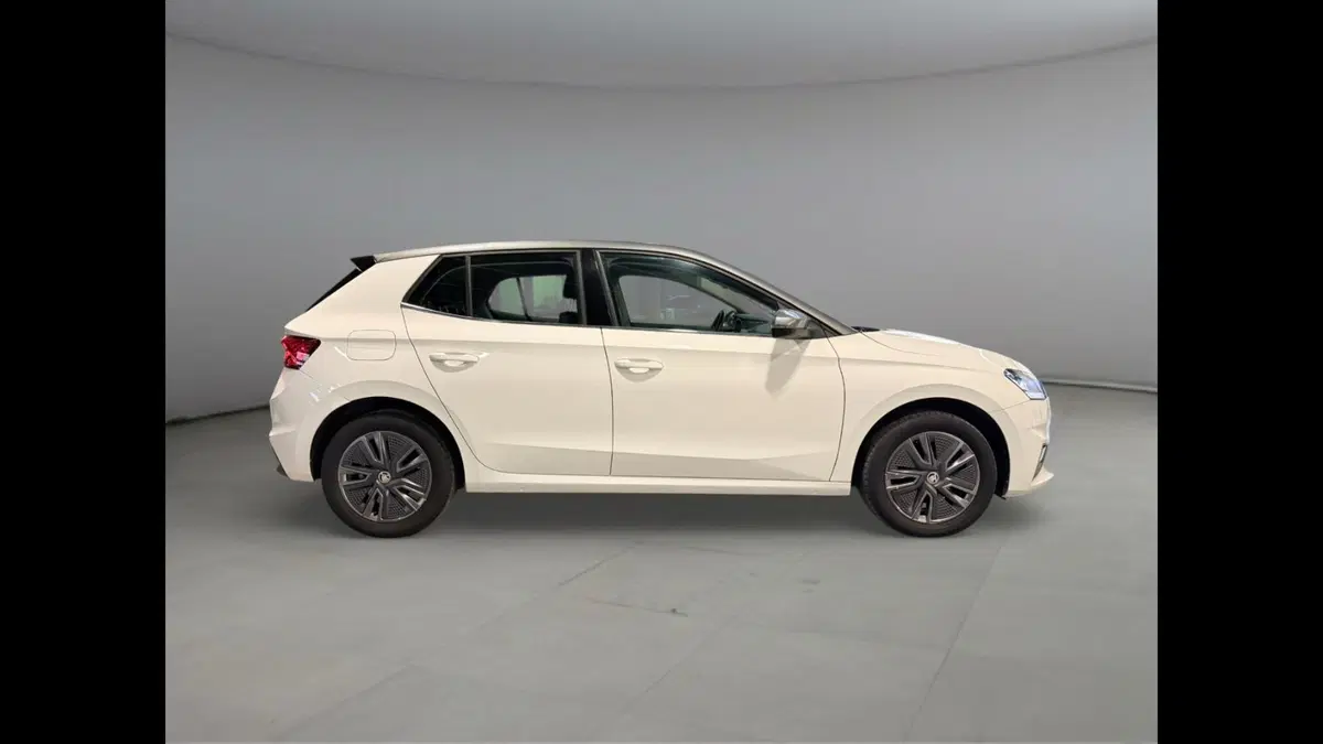 Skoda Fabia usata a Palermo (12)