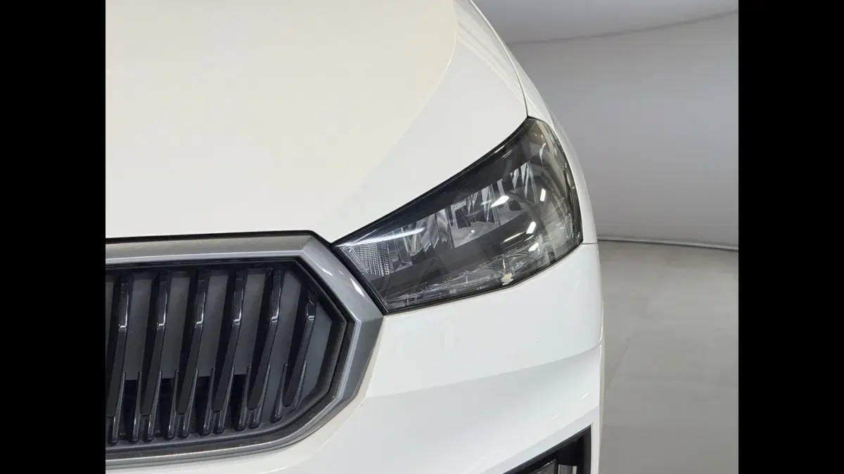 Skoda Fabia usata a Palermo (15)