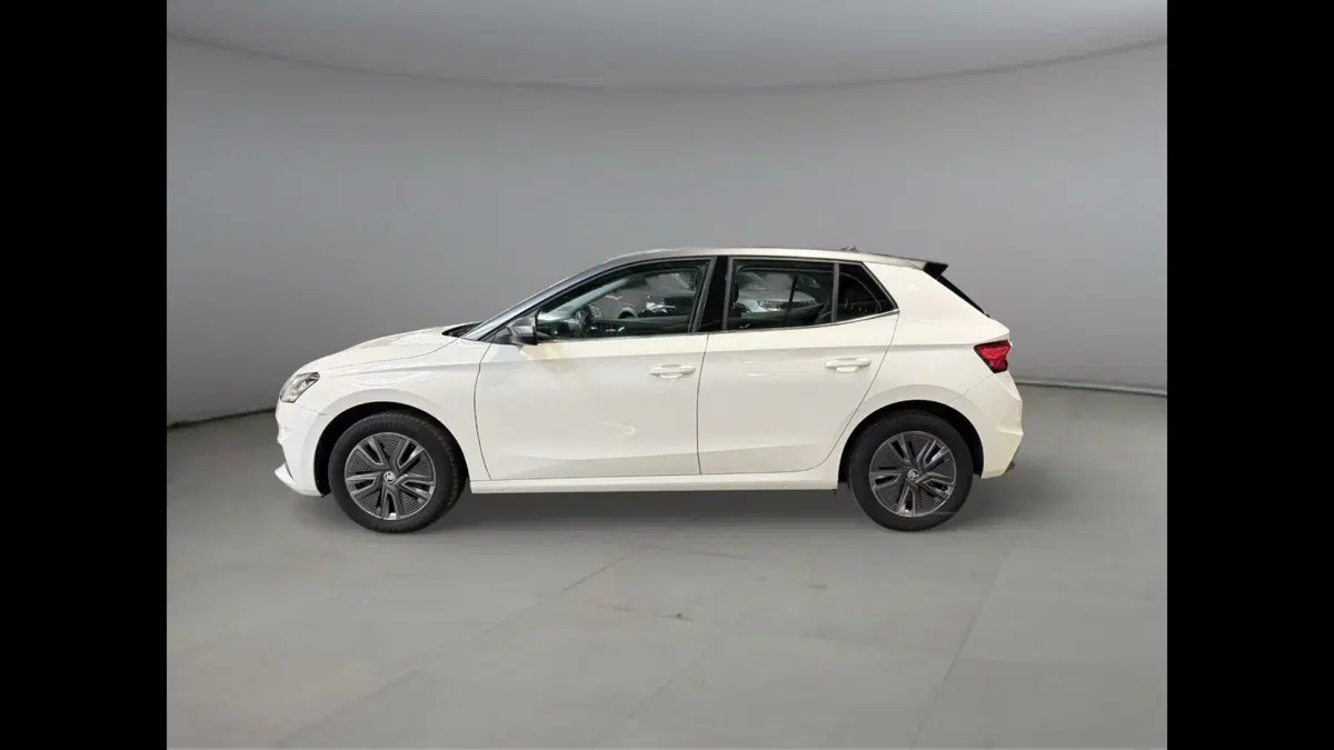 Skoda Fabia usata a Palermo (2)