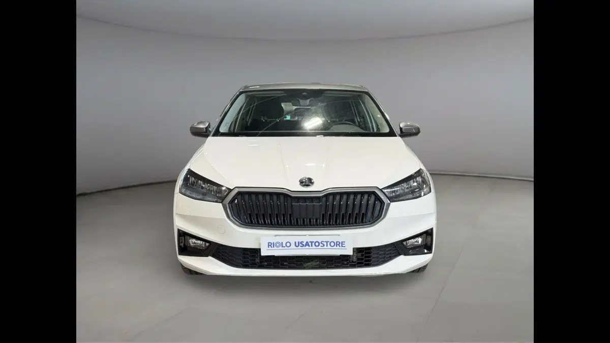 Skoda Fabia usata a Palermo (4)