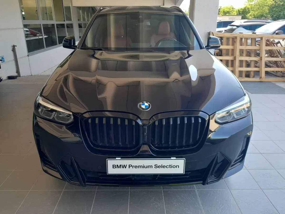 BMW X3 usata a Asti (3)
