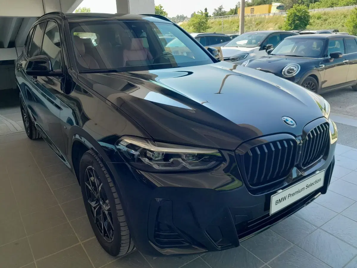 BMW X3 usata a Asti (4)