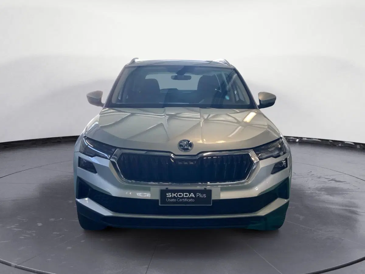 Skoda Karoq usata a Reggio Calabria (2)