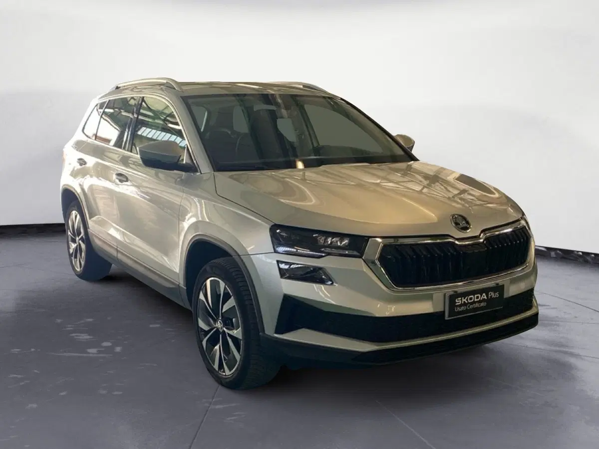 Skoda Karoq usata a Reggio Calabria (3)
