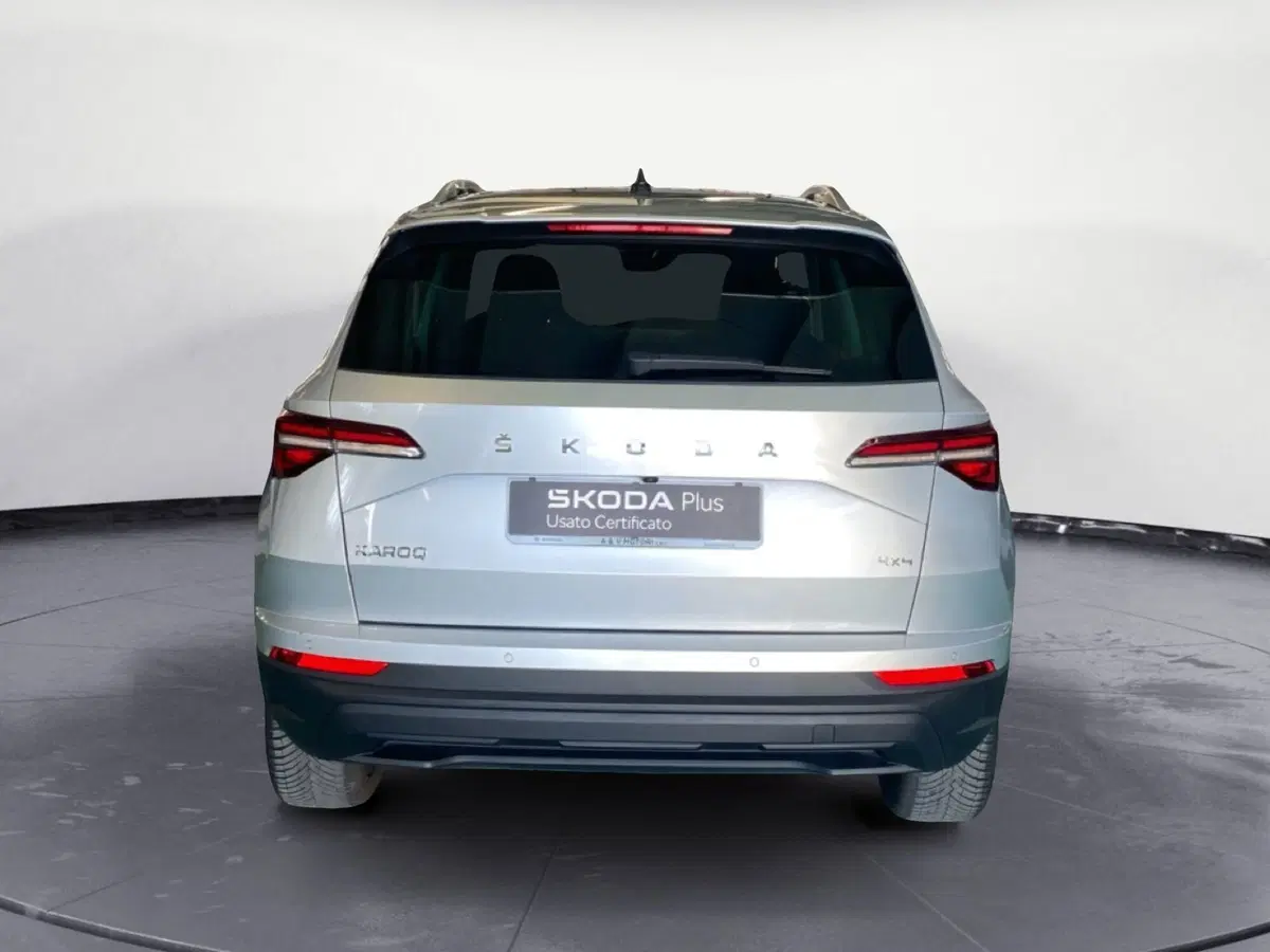 Skoda Karoq usata a Reggio Calabria (5)