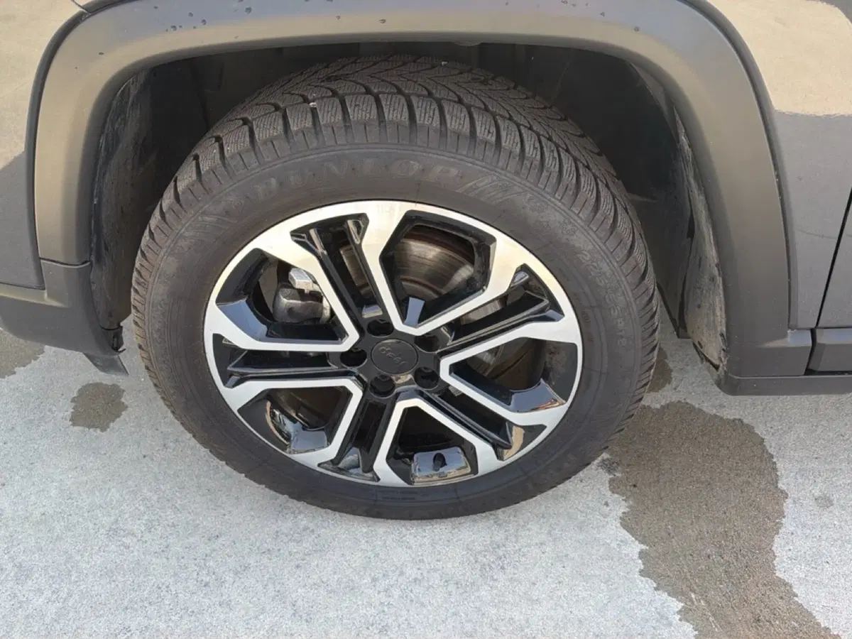 Jeep Compass usata a Frosinone (15)