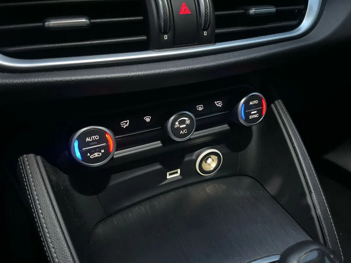 Alfa Romeo Stelvio usata a Frosinone (13)