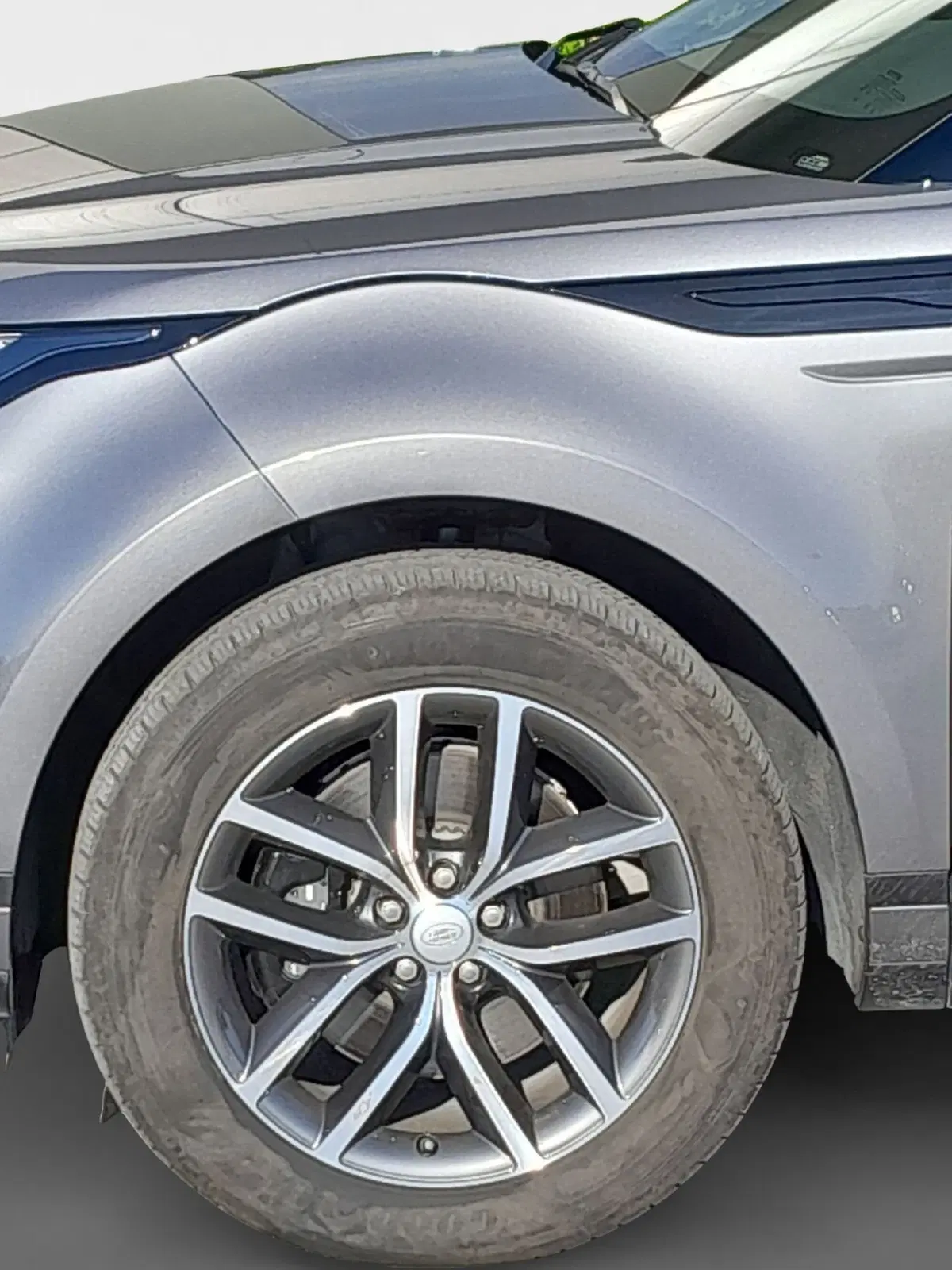 Land Rover Range Rover Evoque usata a Cuneo (9)