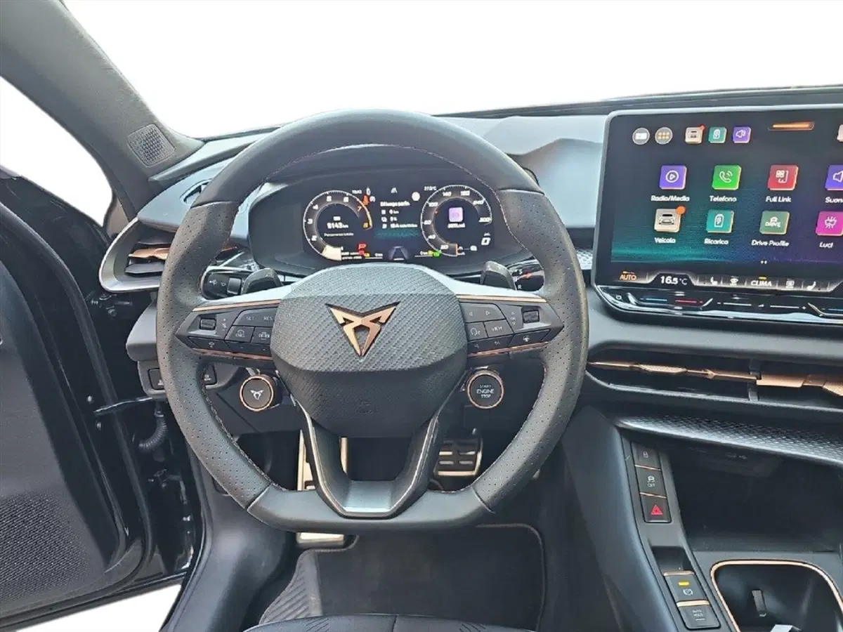 Cupra Terramar usata a Lecco (10)