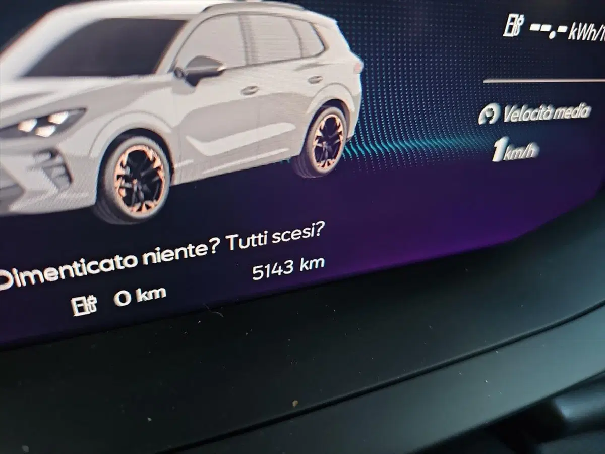Cupra Terramar usata a Lecco (13)