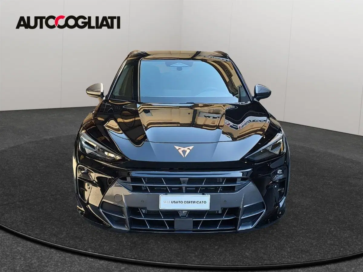 Cupra Terramar usata a Lecco (2)