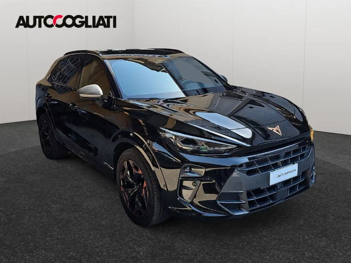 Cupra Terramar usata a Lecco (3)