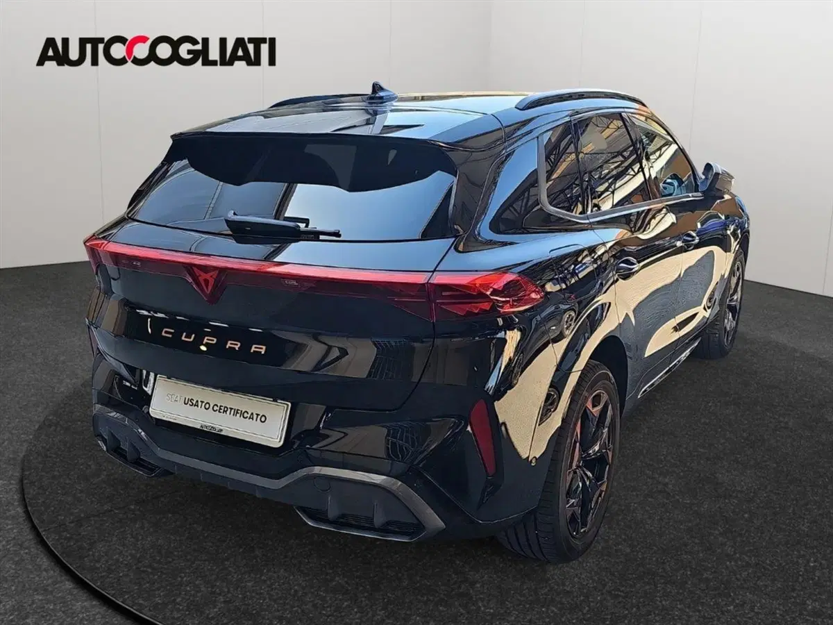 Cupra Terramar usata a Lecco (5)