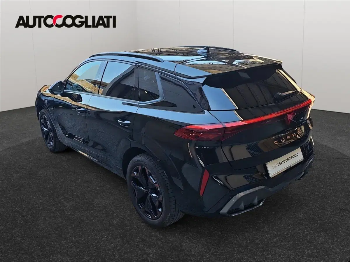 Cupra Terramar usata a Lecco (8)