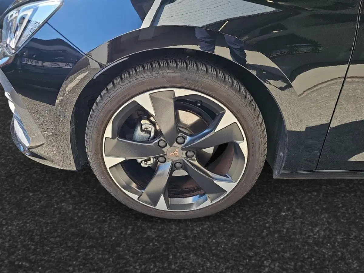 Cupra Leon usata a Lecco (16)