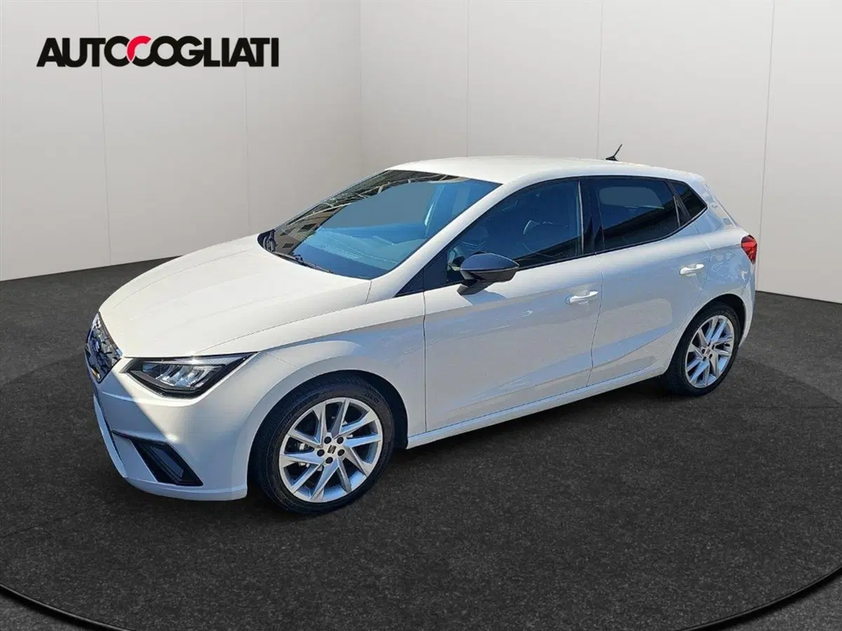 SEAT Ibiza usata a Lecco (3)