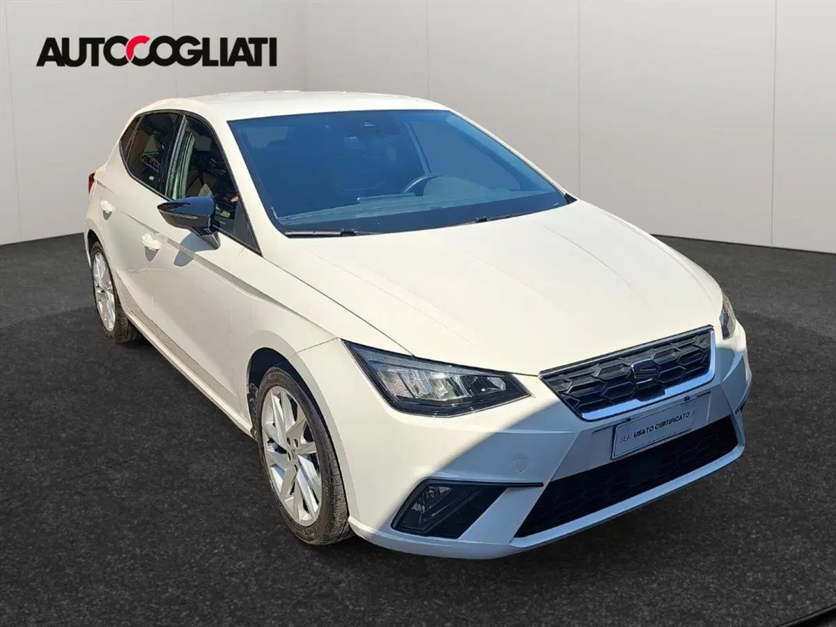 SEAT Ibiza usata a Lecco (8)
