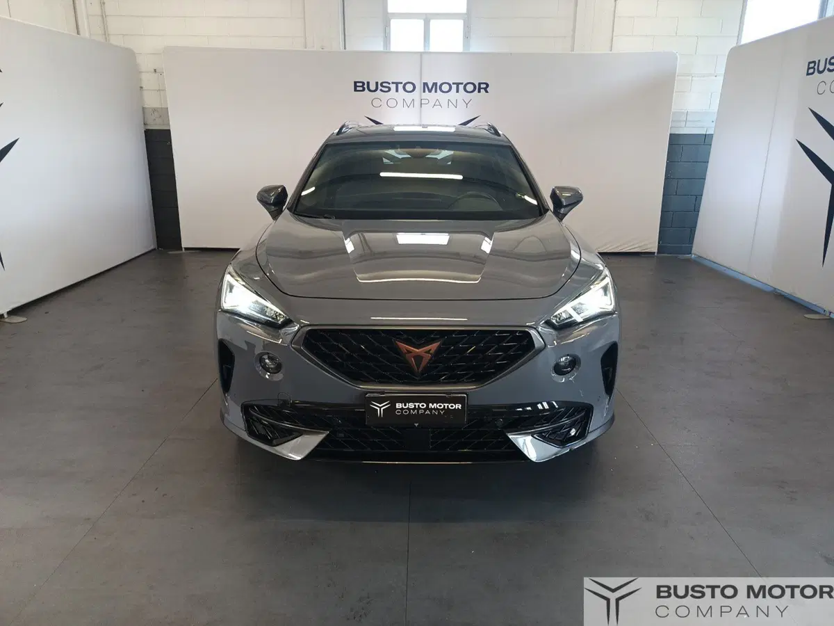 Cupra Formentor usata a Varese (2)